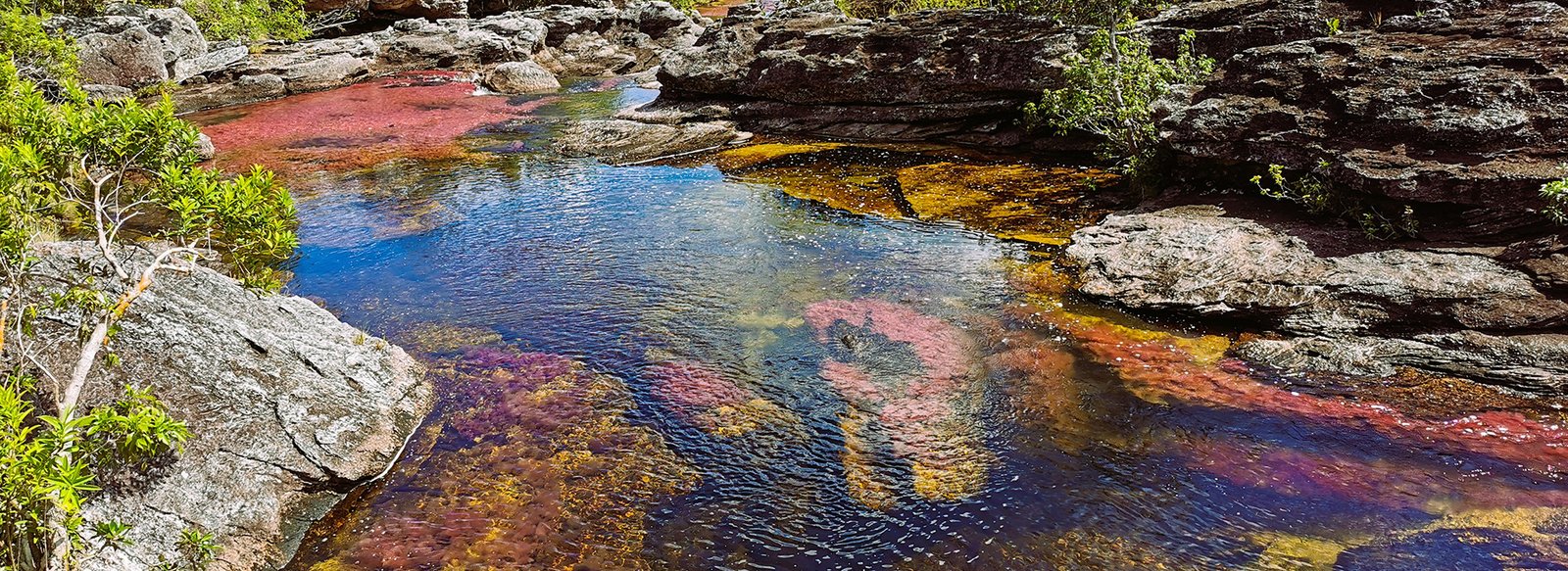 caño-cristales