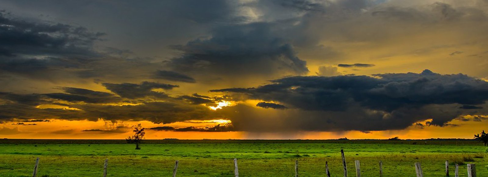 llanos-03
