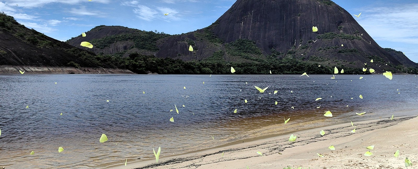 Amazonia-02