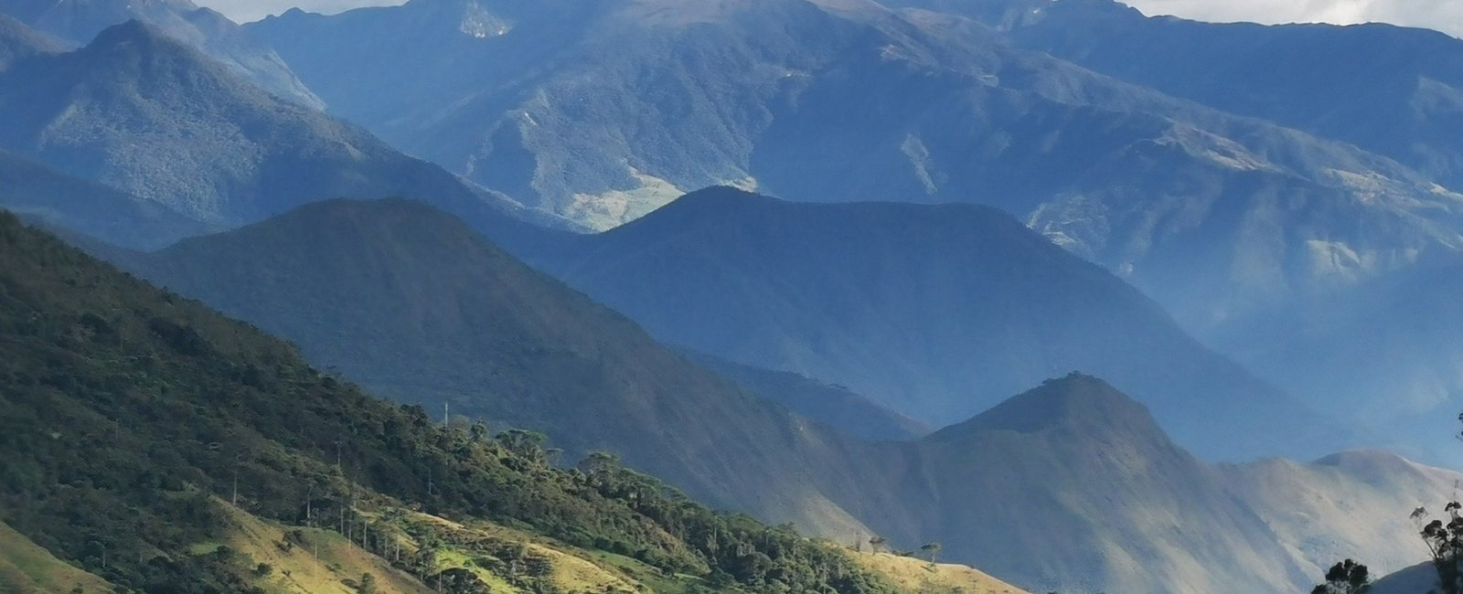Andina-01