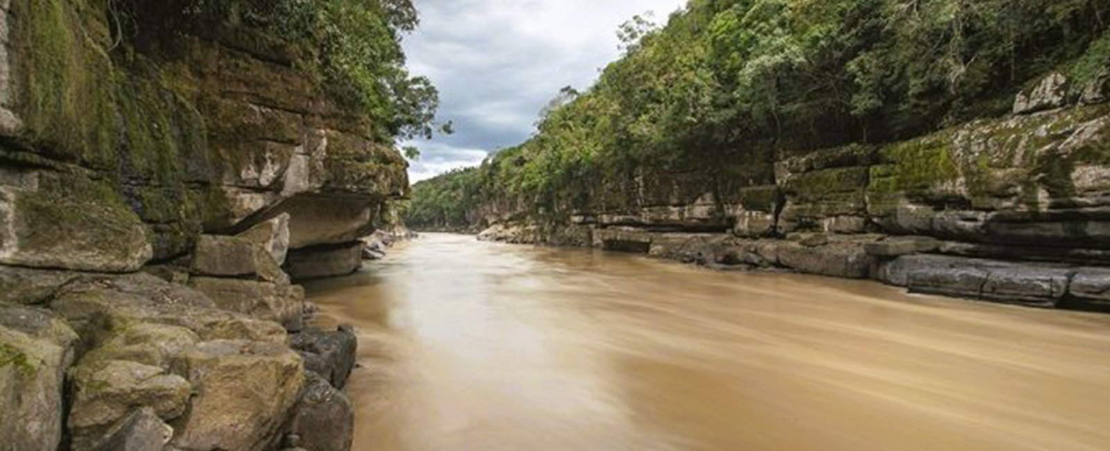 Orinoquia-08